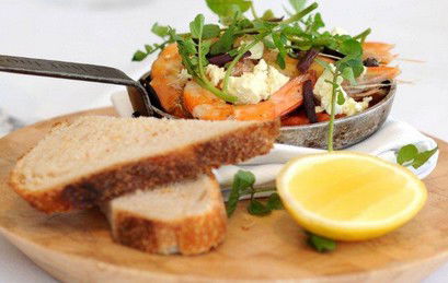 Newport Arms Hotel - Sydney Tourism 1