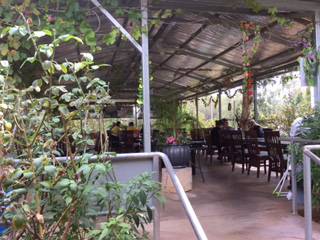 Alice Vietnamese Restaurant - Sydney Tourism 4