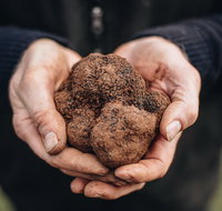 A Taste of Truffles