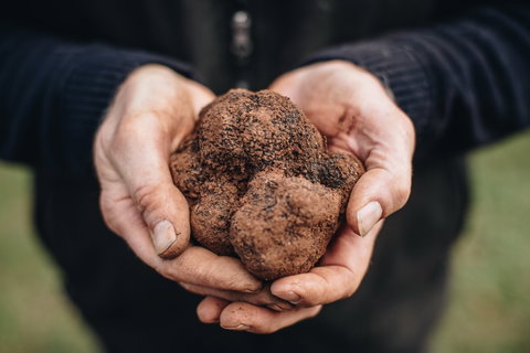 A Taste Of Truffles - Sydney Tourism 0