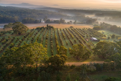 A Taste Of Truffles - Sydney Tourism 1