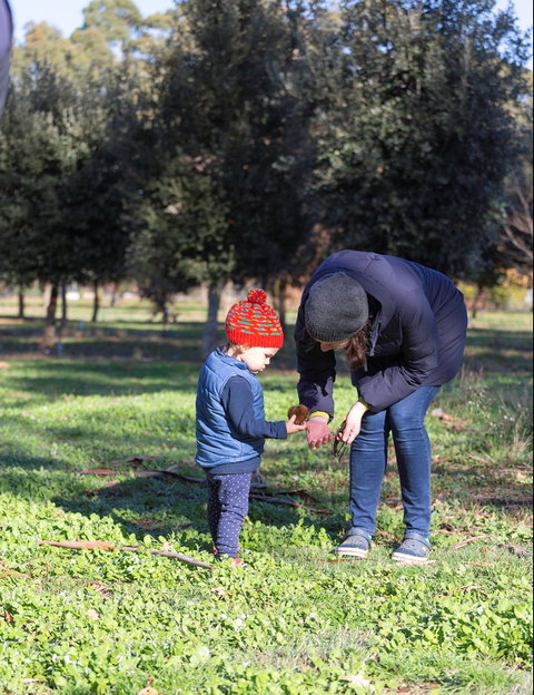 A Taste Of Truffles - Sydney Tourism 2
