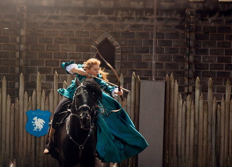 Baroque Horse Festival - Sydney Tourism 0