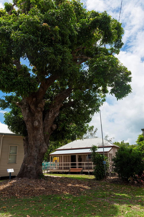 Cardwell Pioneers Tour - Sydney Tourism 1