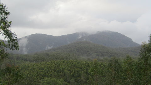 Elephant Trail Race - Sydney Tourism 2