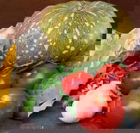 Lismore Organic Market - Sydney Tourism