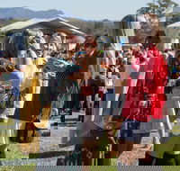 Lovedale Long Lunch - Sydney Tourism