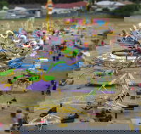 Millicent Agricultural and Horticultural Show - Sydney Tourism