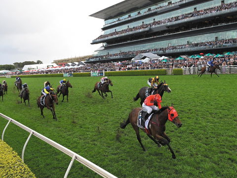 The TAB Everest: The World’s Richest Race On Turf - Sydney Tourism 0