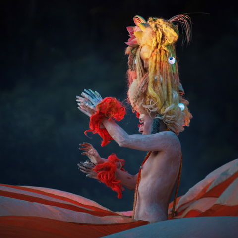 Yonder Festival 2020 - Sydney Tourism 2