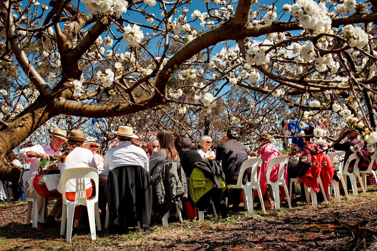 Young NSW Sydney Tourism