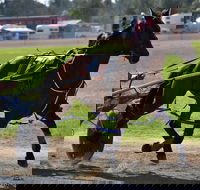 Forbes Show - Sydney Tourism