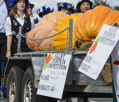 Goomeri Pumpkin Festival - Sydney Tourism 2