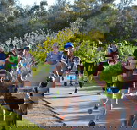 Husky Half Running Festival - Sydney Tourism