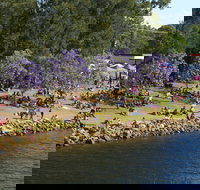 Shoalhaven River Festival - Sydney Tourism