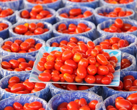 The Entrance Market - Sydney Tourism 2