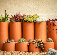 Tumbarumba Spring Flower Festival