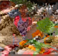 Albany Farmers Market - Sydney Tourism