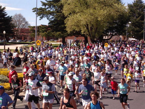 Bathurst Edgell Jog - Sydney Tourism 0