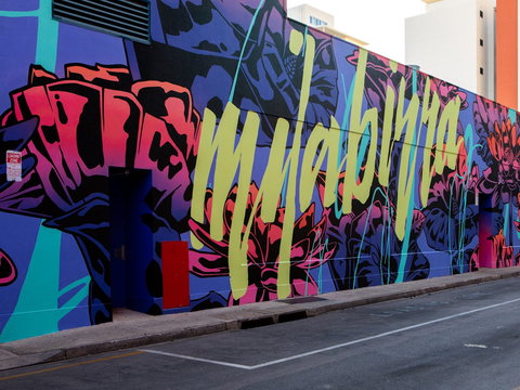 Darwin Street Art Festival - Sydney Tourism 1