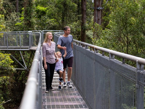Get Back To Nature These July School Holidays! - Sydney Tourism 1