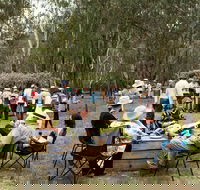 Grazing Down the Lachlan - Sydney Tourism