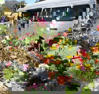 Johns River Country Markets - Sydney Tourism