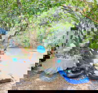 Jungle Love Festival - Sydney Tourism