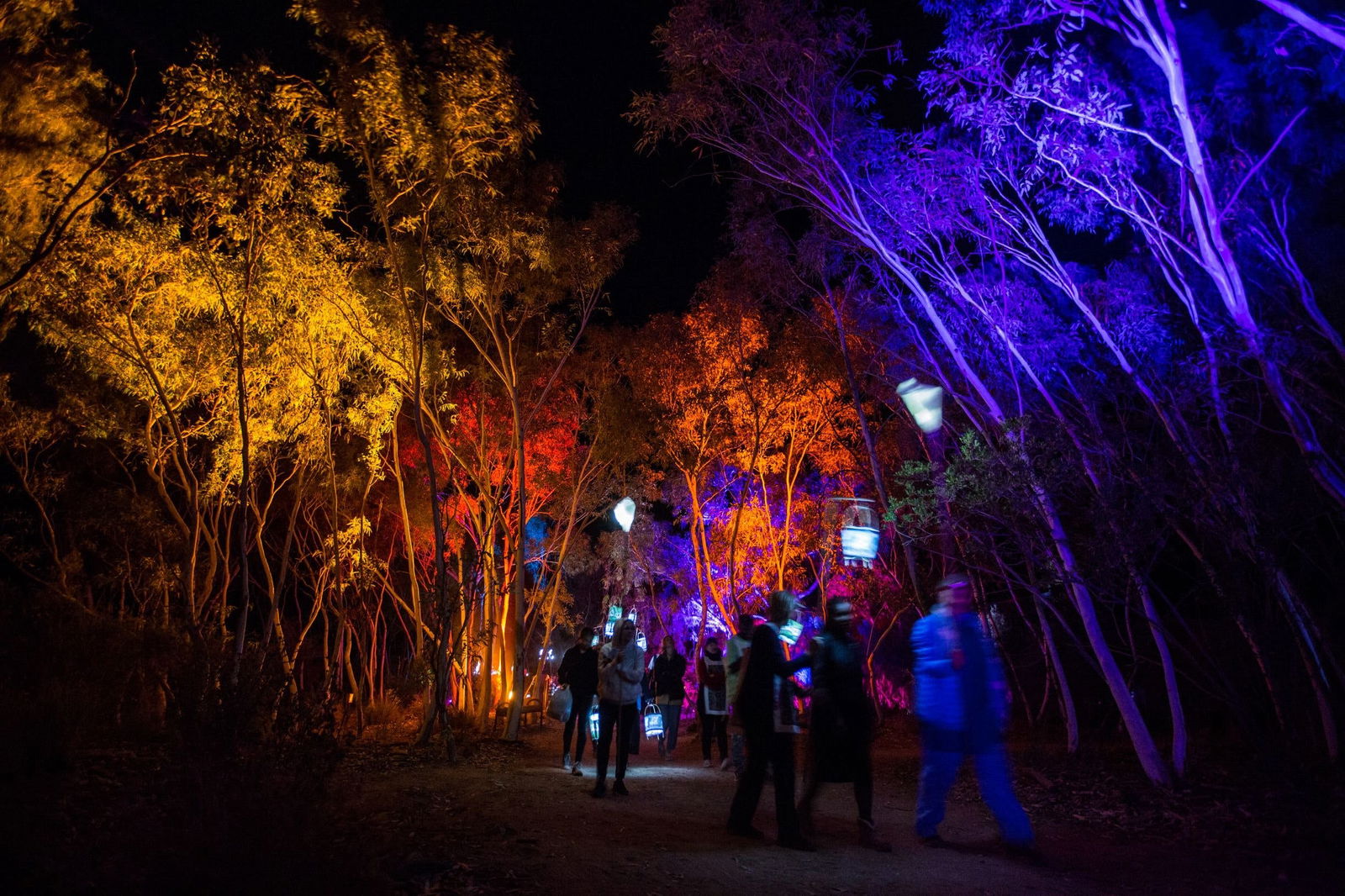 Larapinta NT Sydney Tourism