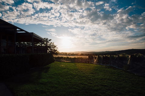Weekly Truffling At Contentious - Sydney Tourism 0