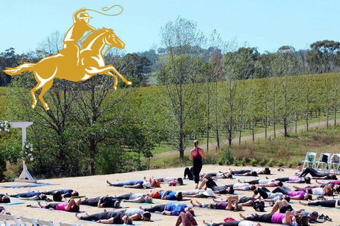 Yoga In The Vines - Sydney Tourism 0