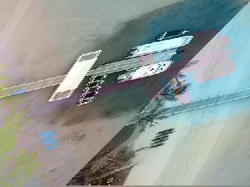 Alligator Creek ACT Sydney Tourism