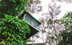 Daintree Ecolodge - thumb 3