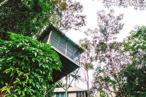Daintree Ecolodge - Sydney Tourism 3