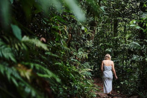 Daintree Ecolodge - Sydney Tourism 0