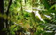 Daintree Ecolodge - thumb 4
