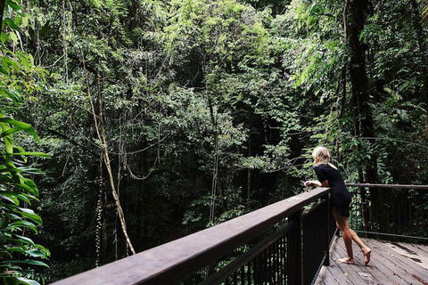 Daintree Ecolodge - Sydney Tourism 5