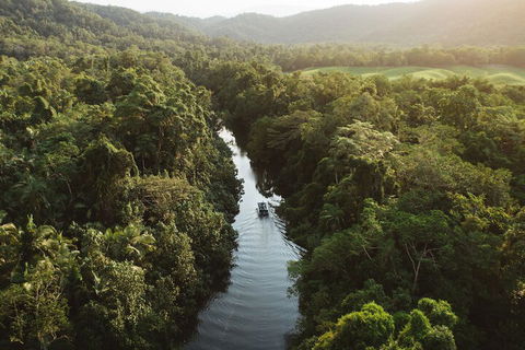 Daintree Ecolodge - Sydney Tourism 2