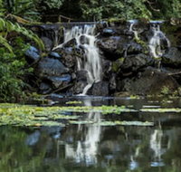 Kondalilla Eco Resort - Sydney Tourism