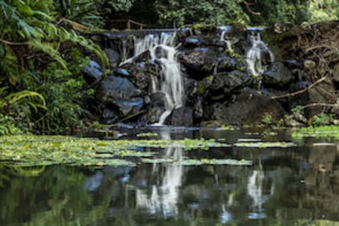 Kondalilla Eco Resort - Sydney Tourism 0