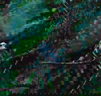 Broken River Mountain Resort