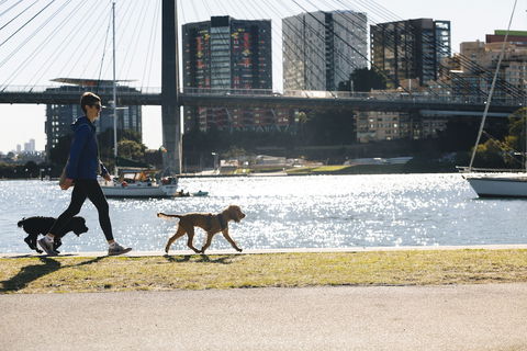 Haven Glebe - Sydney Tourism 0
