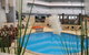 Best Western Plus Hotel Lord Forrest - thumb 1