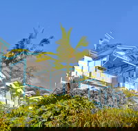 Tangalooma Island Resort - Sydney Tourism