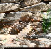 Jenolan Caves House - Sydney Tourism