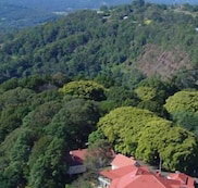 Mayfield on Montville - Sydney Tourism