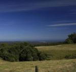 Otway Junction Motor Inn