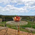 Beths Cottage Roaring 40s - Sydney Tourism 0