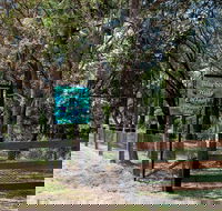 Blueberry Hills On Comleroy