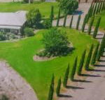 Gaerwood B  B - Sydney Tourism